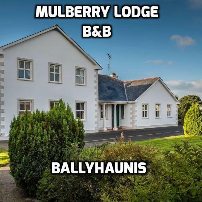 Mulberry Lodge Guest House Балліхонис Екстер'єр фото